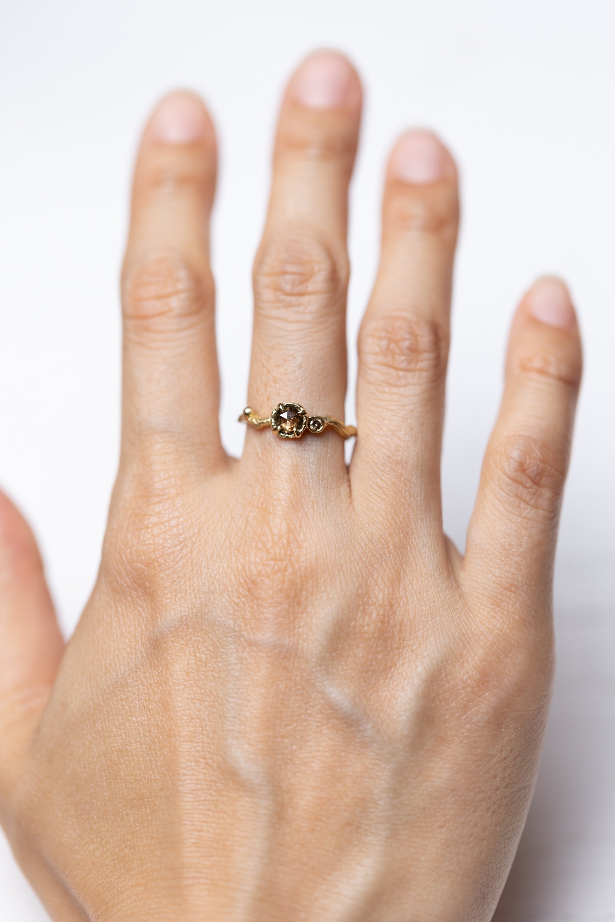 Brown Diamond and a Small Champagne Diamond Twig Ring (18k)