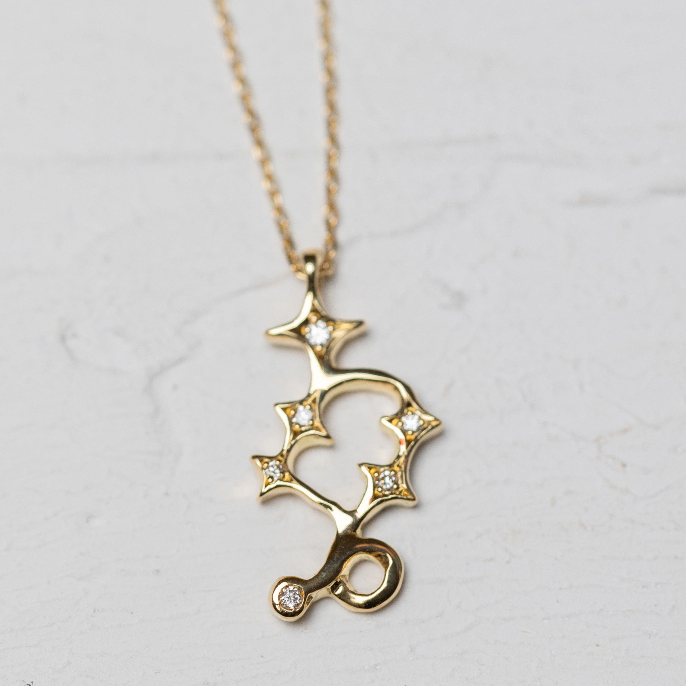 Twinkling Capricorn Necklace