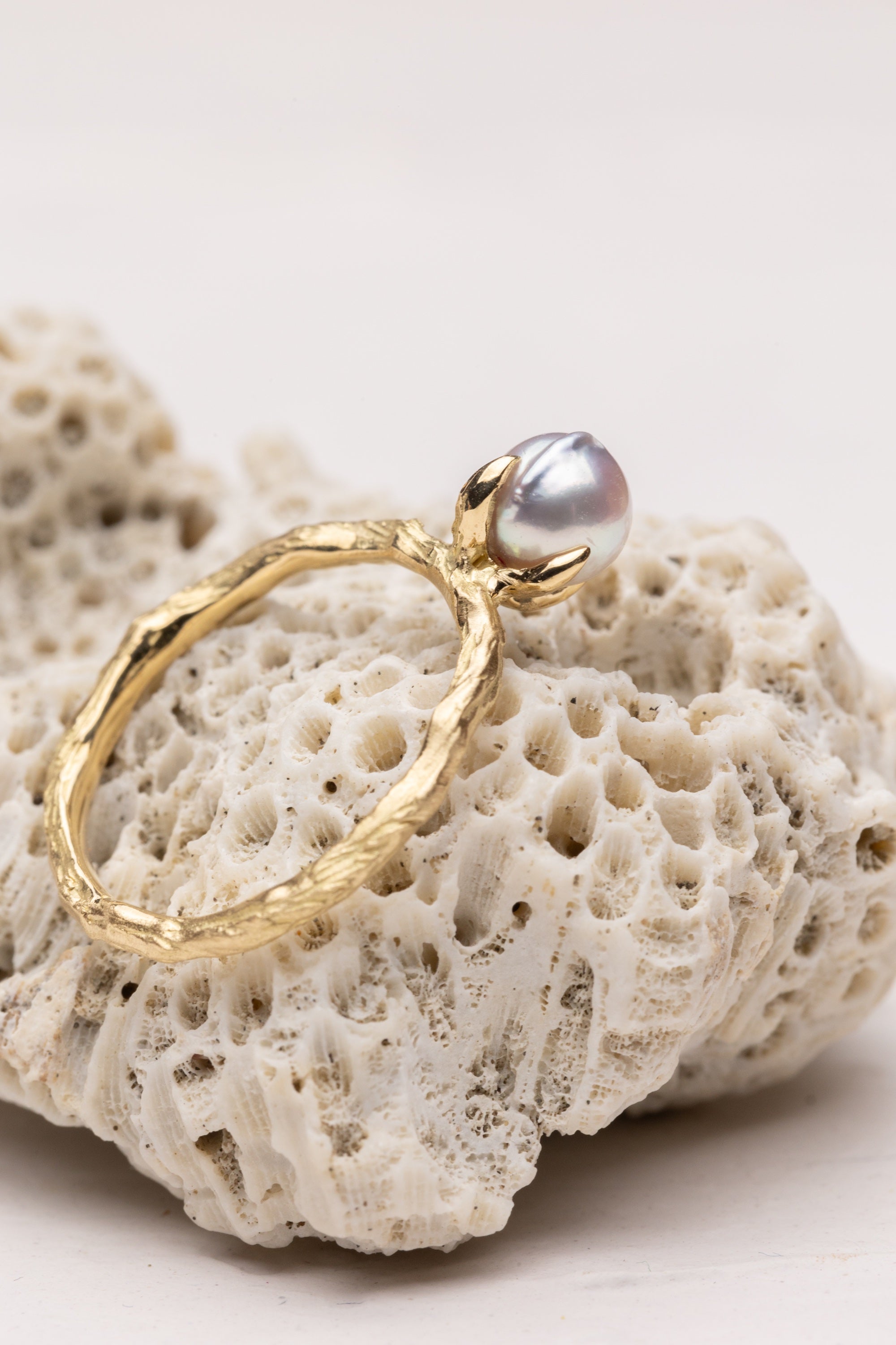 Branch | The Akoya Pearl Ring - Small (18k)